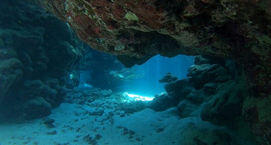  St. Johns / Elba Reef 10 days